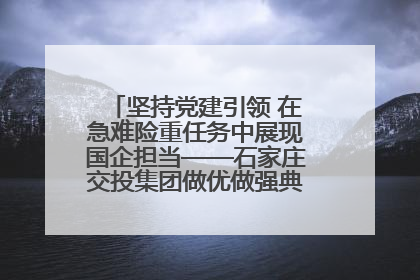 坚持党建引领 在急难险重任务中展现国企担当——石家庄交投集团做优做强典型报道之一