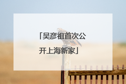 吴彦祖首次公开上海新家