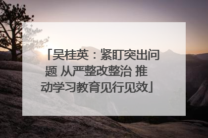 吴桂英：紧盯突出问题 从严整改整治 推动学习教育见行见效