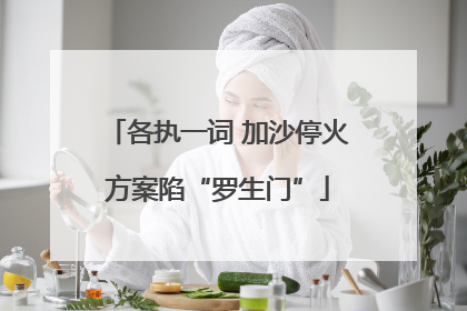 各执一词 加沙停火方案陷“罗生门”