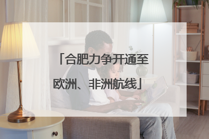 合肥力争开通至欧洲、非洲航线