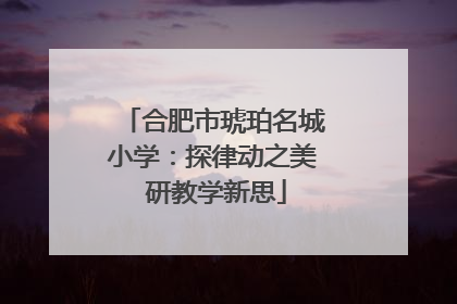 合肥市琥珀名城小学：探律动之美 研教学新思