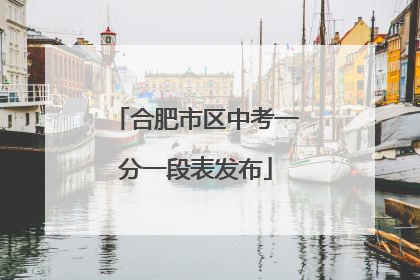 合肥市区中考一分一段表发布