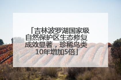 吉林波罗湖国家级自然保护区生态修复成效显著，珍稀鸟类10年增加5倍