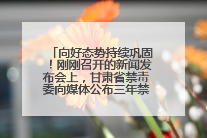向好态势持续巩固！刚刚召开的新闻发布会上，甘肃省禁毒委向媒体公布三年禁毒工作“成绩单”