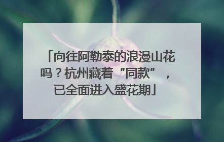 向往阿勒泰的浪漫山花吗？杭州藏着“同款”，已全面进入盛花期