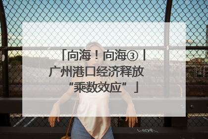 向海！向海③丨广州港口经济释放“乘数效应”