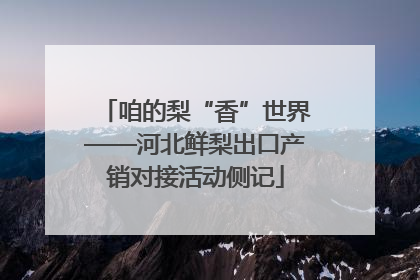 咱的梨“香”世界——河北鲜梨出口产销对接活动侧记