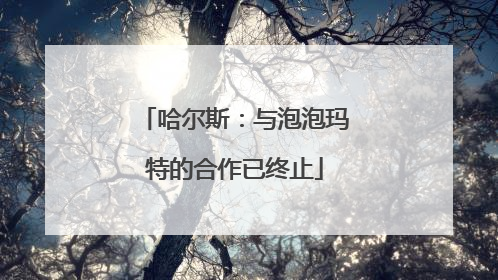 哈尔斯：与泡泡玛特的合作已终止