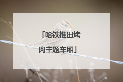 哈铁推出烤肉主题车厢
