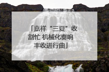 嘉祥“三夏”收割忙 机械化奏响丰收进行曲