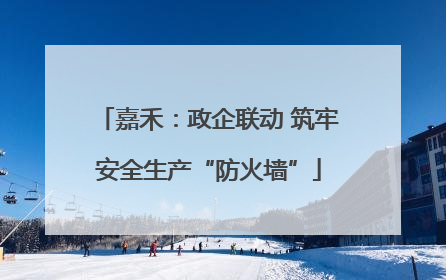 嘉禾：政企联动 筑牢安全生产“防火墙”