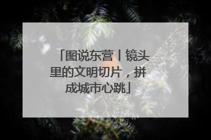 图说东营丨镜头里的文明切片，拼成城市心跳