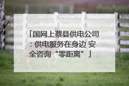 国网上蔡县供电公司：供电服务在身边 安全咨询“零距离”