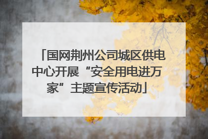 国网荆州公司城区供电中心开展“安全用电进万家”主题宣传活动