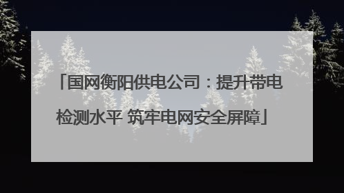 国网衡阳供电公司：提升带电检测水平 筑牢电网安全屏障