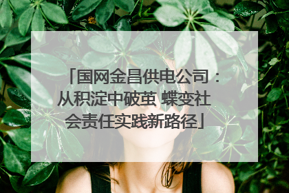 国网金昌供电公司：从积淀中破茧 蝶变社会责任实践新路径