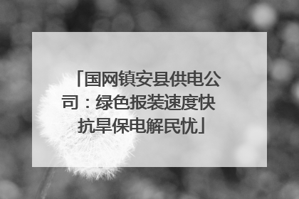 国网镇安县供电公司：绿色报装速度快 抗旱保电解民忧