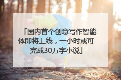 国内首个创意写作智能体即将上线，一小时或可完成30万字小说