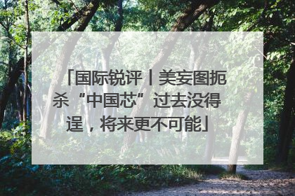 国际锐评丨美妄图扼杀“中国芯”过去没得逞，将来更不可能