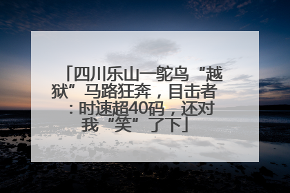 四川乐山一鸵鸟“越狱”马路狂奔，目击者：时速超40码，还对我“笑”了下