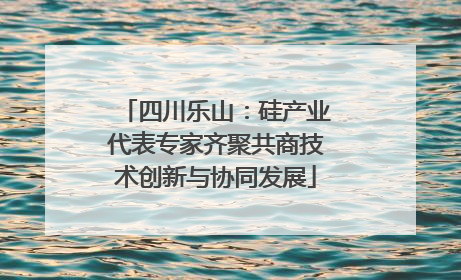 四川乐山：硅产业代表专家齐聚共商技术创新与协同发展