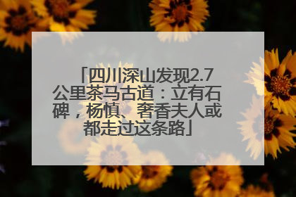 四川深山发现2.7公里茶马古道：立有石碑，杨慎、奢香夫人或都走过这条路
