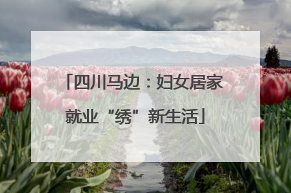 四川马边：妇女居家就业“绣”新生活