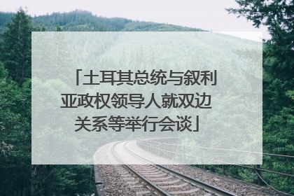 土耳其总统与叙利亚政权领导人就双边关系等举行会谈
