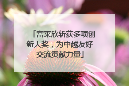 富莱欣斩获多项创新大奖，为中越友好交流贡献力量