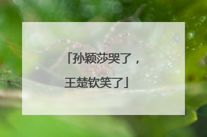 孙颖莎哭了，王楚钦笑了