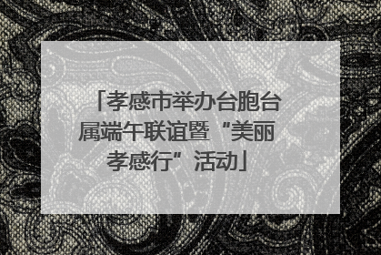 孝感市举办台胞台属端午联谊暨“美丽孝感行”活动