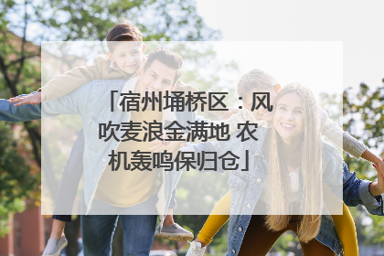 宿州埇桥区：风吹麦浪金满地 农机轰鸣保归仓