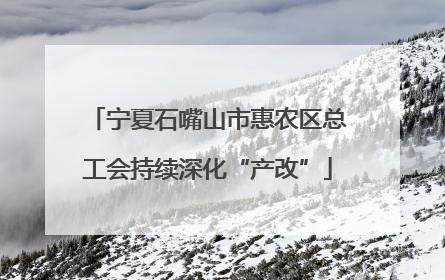 宁夏石嘴山市惠农区总工会持续深化“产改”