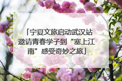 宁夏文旅启动武汉站 邀请青春学子到“塞上江南”感受奇妙之旅