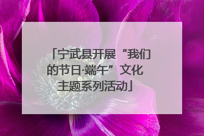 宁武县开展“我们的节日·端午”文化主题系列活动