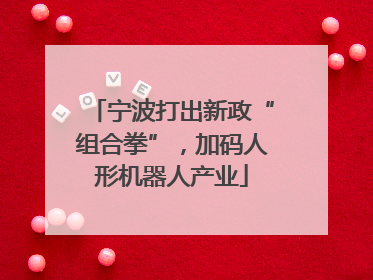 宁波打出新政“组合拳”，加码人形机器人产业