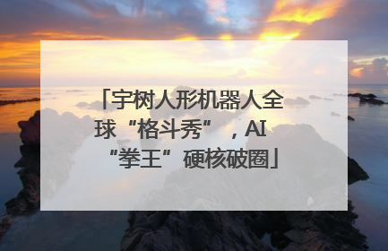 宇树人形机器人全球“格斗秀”，AI“拳王”硬核破圈