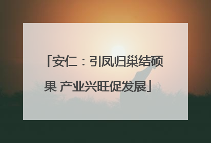 安仁：引凤归巢结硕果 产业兴旺促发展