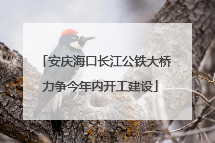 安庆海口长江公铁大桥力争今年内开工建设