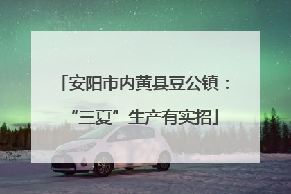 安阳市内黄县豆公镇：“三夏”生产有实招