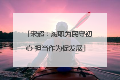 宋超：履职为民守初心 担当作为促发展