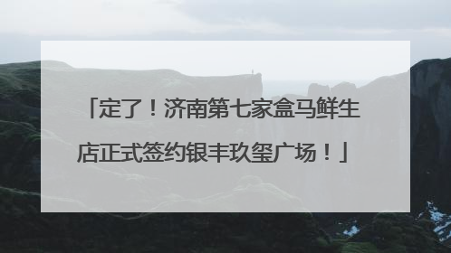 定了！济南第七家盒马鲜生店正式签约银丰玖玺广场！