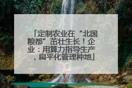 定制农业在“北国粮都”茁壮生长！企业：用算力指导生产，扁平化管理种地
