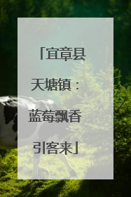 宜章县天塘镇：蓝莓飘香引客来