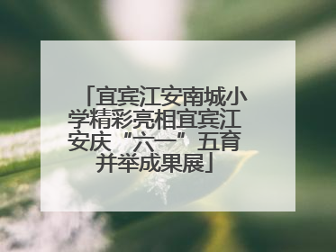 宜宾江安南城小学精彩亮相宜宾江安庆“六一”五育并举成果展