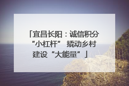 宜昌长阳：诚信积分“小杠杆” 撬动乡村建设“大能量”