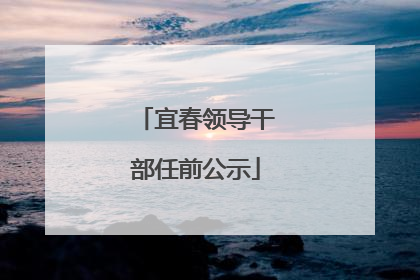 宜春领导干部任前公示