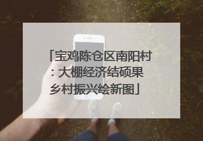 宝鸡陈仓区南阳村：大棚经济结硕果 乡村振兴绘新图