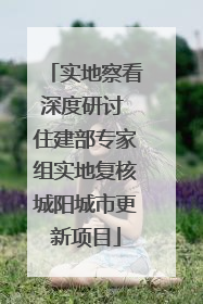 实地察看深度研讨 住建部专家组实地复核城阳城市更新项目